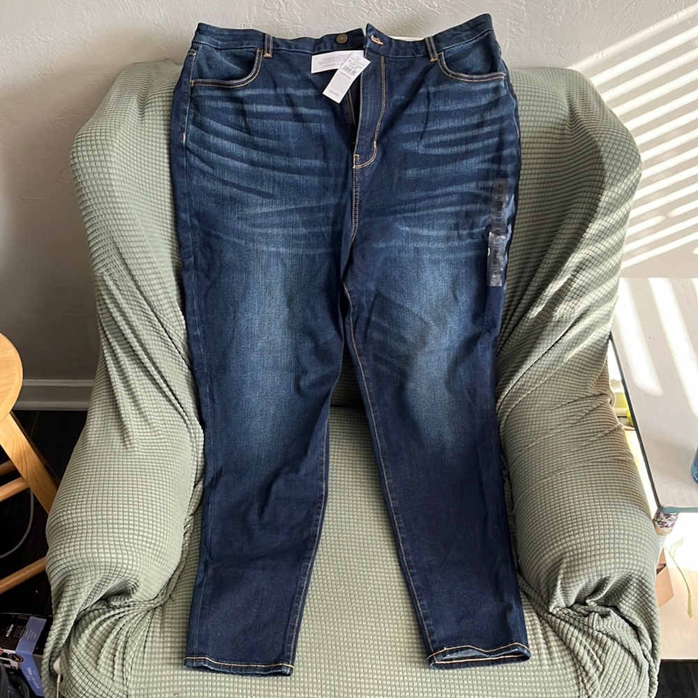 AE Curvy High Rise Jegging, size 20 LONG, NWT